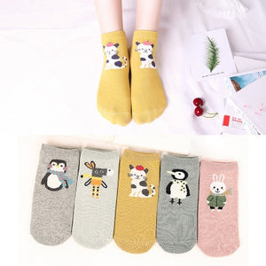 Pack 5 calcetines animales