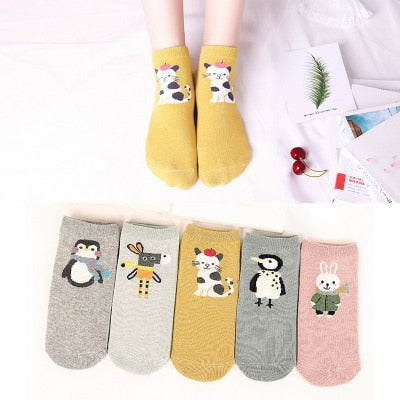 Pack 5 calcetines animales