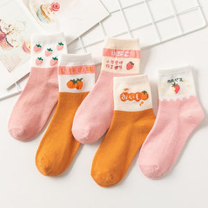 Pack 5  calcetines estampados